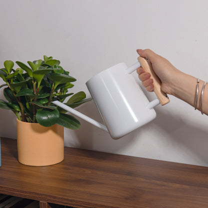 IMEEA White Stainless Steel Watering Can watering tabletop plants