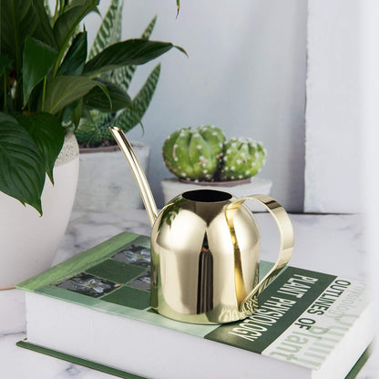 Glod Mini Stainless Steel Watering Can paired with indoor greenery to create a natural home gardening space