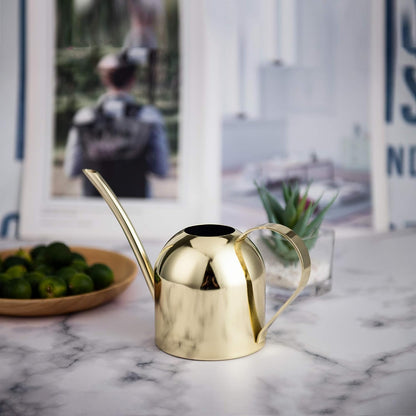 IMEEA Gold Stainless Steel Plant Watering Can displayed on an indoor countertop to complement everyday home decor