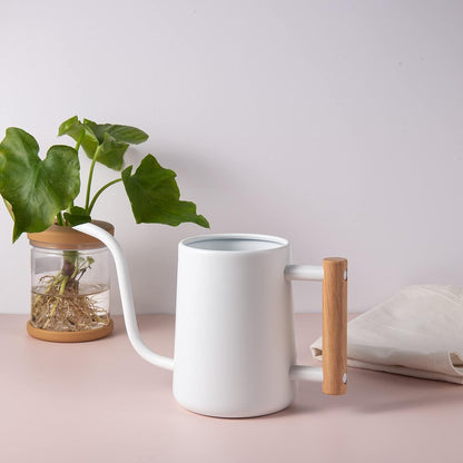 Plant Watering Pot on tabletop showcasing curved long spout design