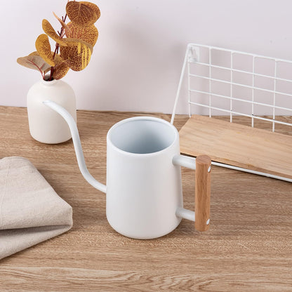 Small Plant Watering Pot placed on a tabletop, showcasing its compact size and simple design for indoor plant care
