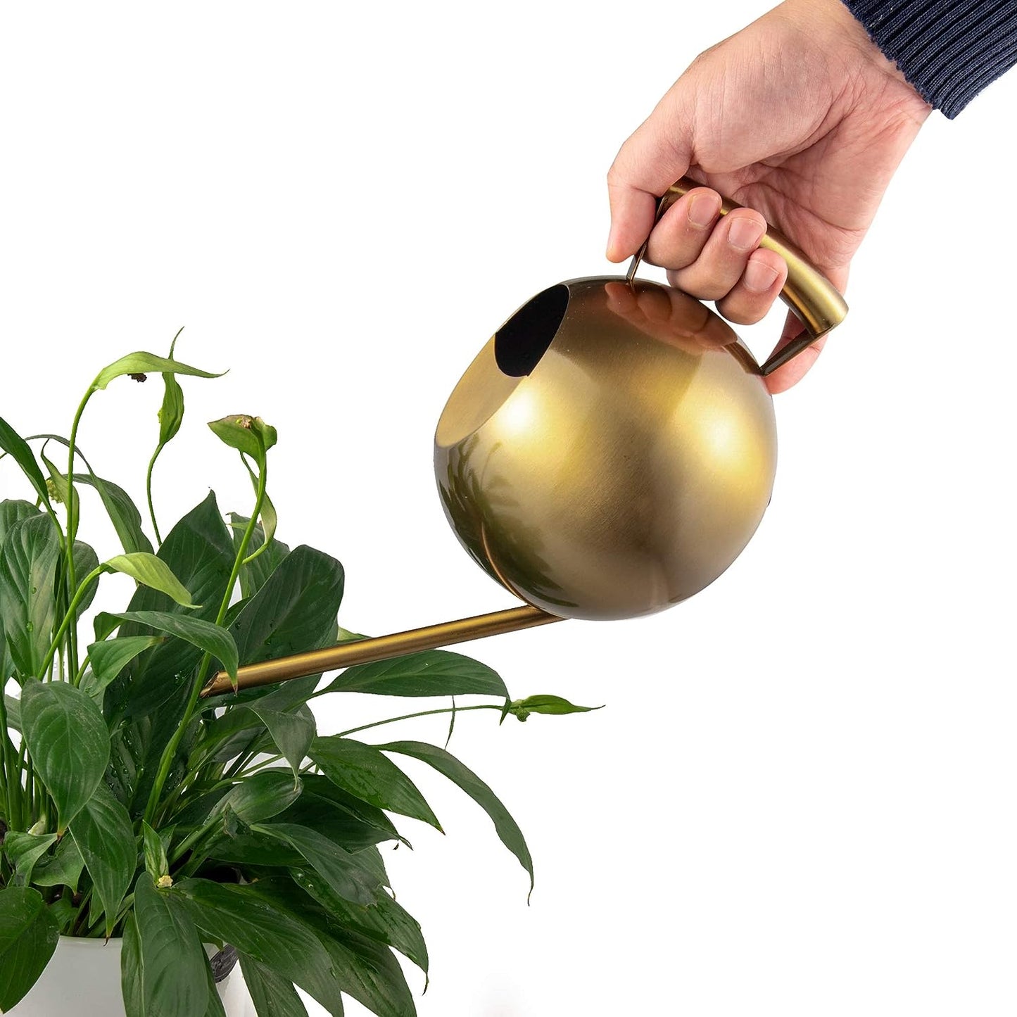Bronze Stainless Steel Watering Can held by hand watering small plants